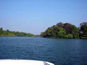 �J�������΂̐V�΁H