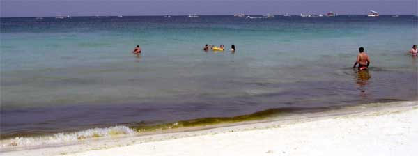 �g�ł��ۂ̑�