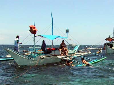 �V���m�[�P�����O��