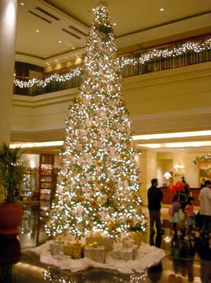 �f���V�b�g�z�e�����r�[�̃N���X�}�X�c���[