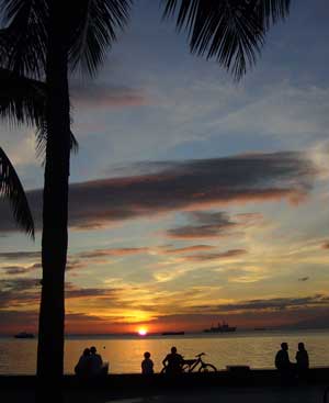 �}�j���p�̗[��