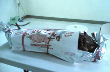 �؂̊ۏĂ��@���`����