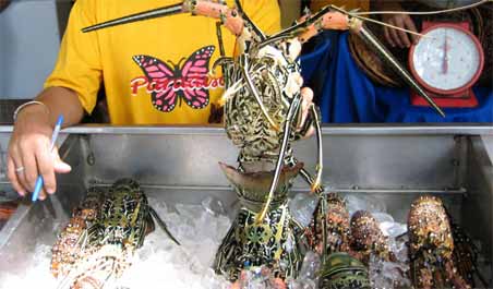 ���X�g�����̃��u�X�^�[