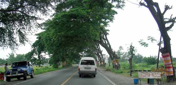 �����e�̃J�j���艮��