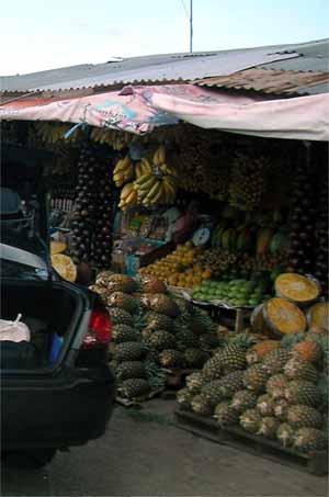 �ʕ����̓X��͂���Ȋ���