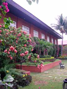 �t�H�[�g�C���J���f�B�A�̒���