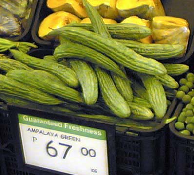 �X�[�p�[�̃S�[���[