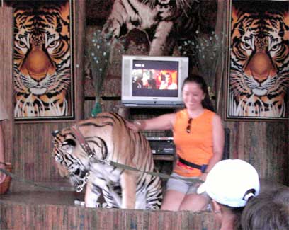 �Ղ��i�f�i�f