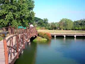 ���̋����ނ�̃|�C���g