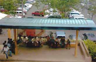 �V���b�s���O���[��������O�ő҂h���C�o�[�B