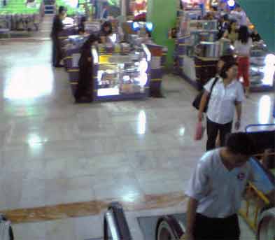 �}�J�e�B�V�l�}�X�N�G�A�̊C���Ŕ����