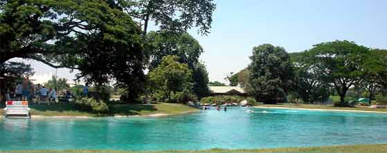 �r�̂悤�ȋ���v�[��