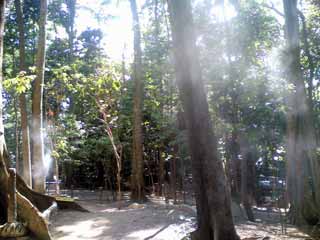 �؁X�̊Ԃ�Y���~�X�g