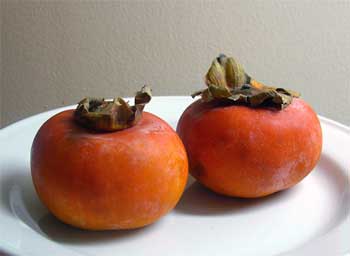 ���C�h����ɗⓀ����Ă��܂����`