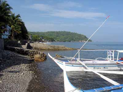 �A�j���I�̊C