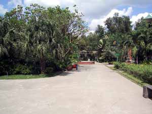 �ՎU�Ƃ�������