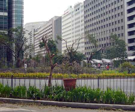 �܂ꂽ�X�H��