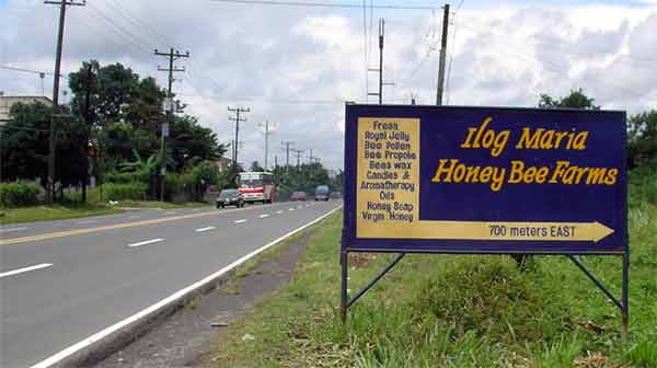 Honey Bee Farm�̊Ŕ�