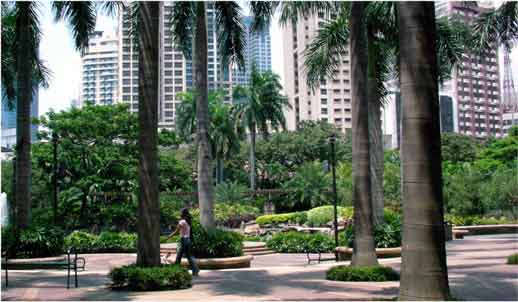 クレープ屋からみたグリ−ンベルト