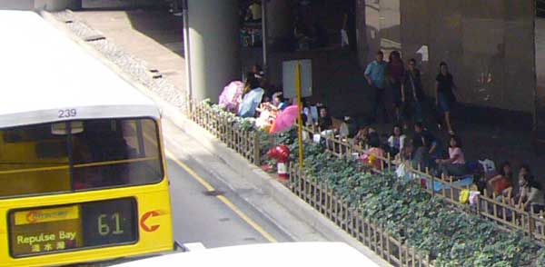 �o�X�^�[�~�i���߂��̕����ł��낮�t�B���s���l�̃��C�h���񂽂�